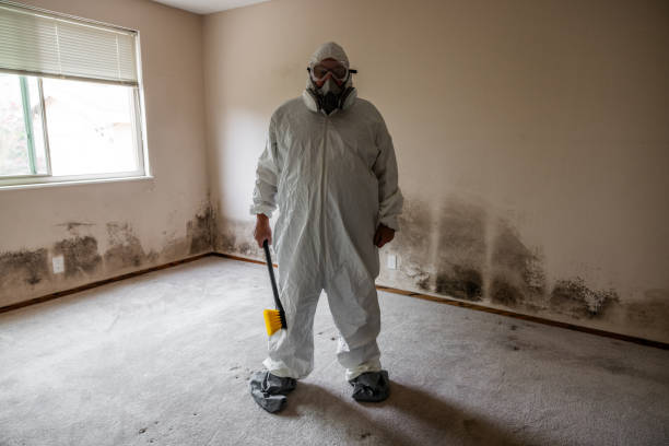 Erie, PA Mold Remediation Company